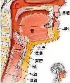 微信圖片_20210608130116.png