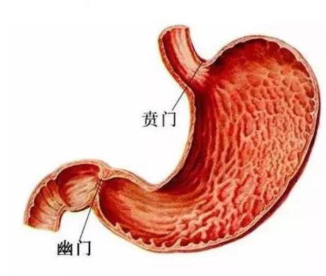微信圖片_20210608130120.png