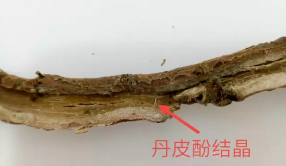 圖片3.png 圖片3.png