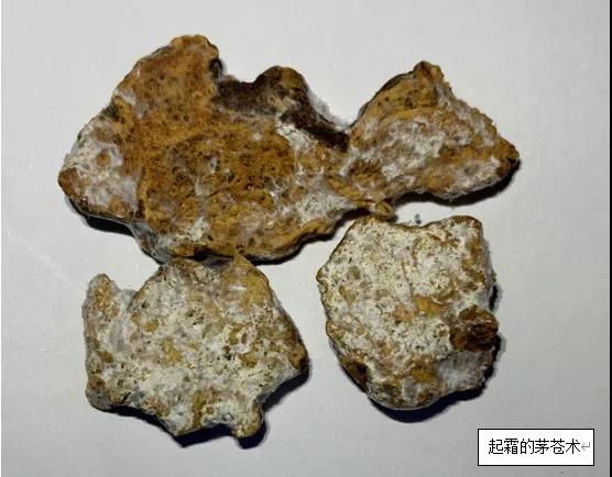 圖片1.jpg