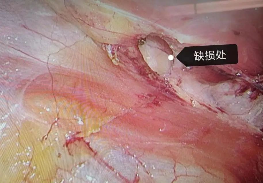 微信圖片_20220429142112.jpg 微信圖片_20220429142112.jpg